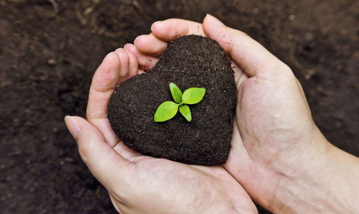 Agriculture and Fertilizers: